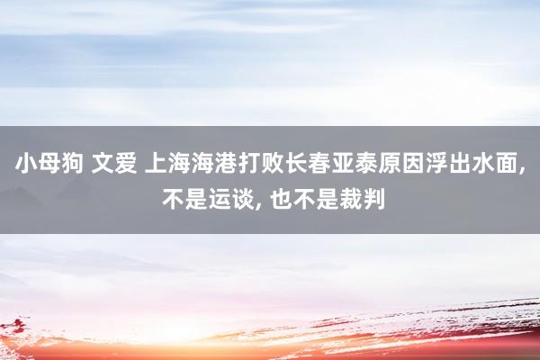 小母狗 文爱 上海海港打败长春亚泰原因浮出水面， 不是运谈， 也不是裁判