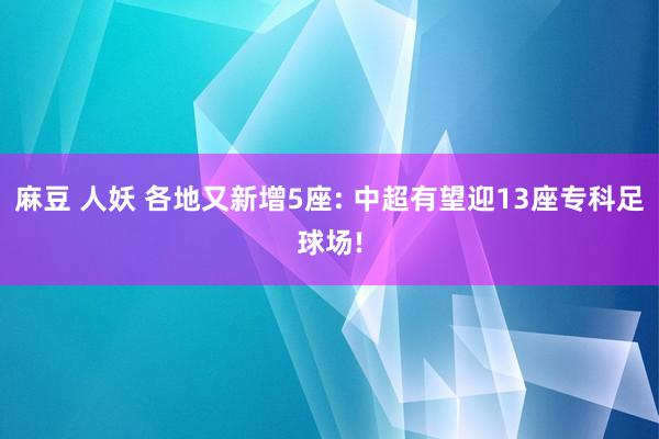 麻豆 人妖 各地又新增5座: 中超有望迎13座专科足球场!