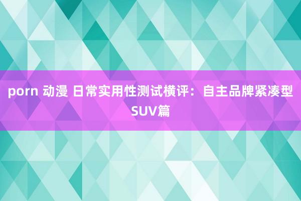 porn 动漫 日常实用性测试横评：自主品牌紧凑型SUV篇