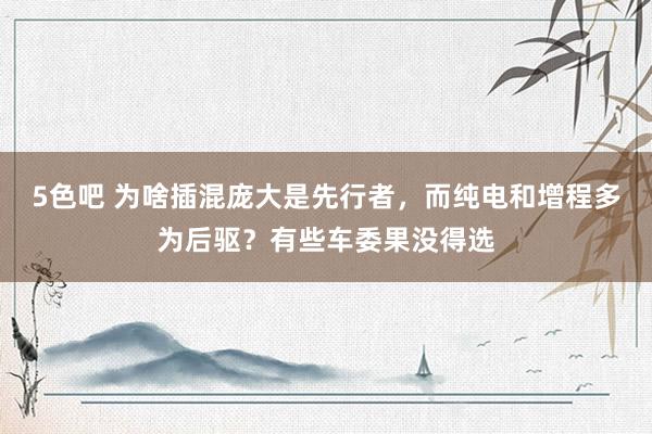 5色吧 为啥插混庞大是先行者，而纯电和增程多为后驱？有些车委果没得选