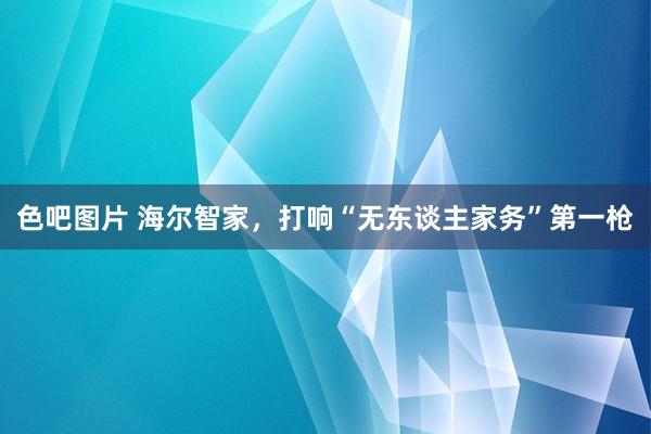 色吧图片 海尔智家，打响“无东谈主家务”第一枪