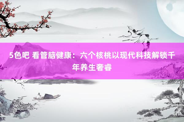 5色吧 看管脑健康：六个核桃以现代科技解锁千年养生奢睿