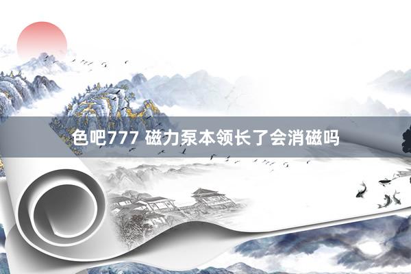 色吧777 磁力泵本领长了会消磁吗