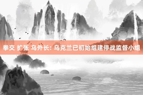 拳交 扩张 乌外长: 乌克兰已初始组建停战监督小组