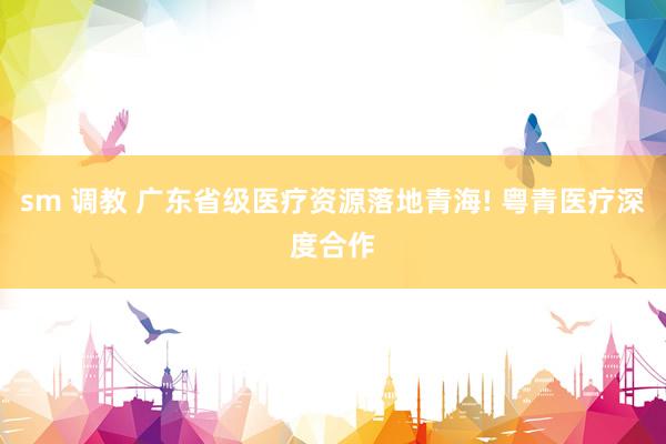 sm 调教 广东省级医疗资源落地青海! 粤青医疗深度合作