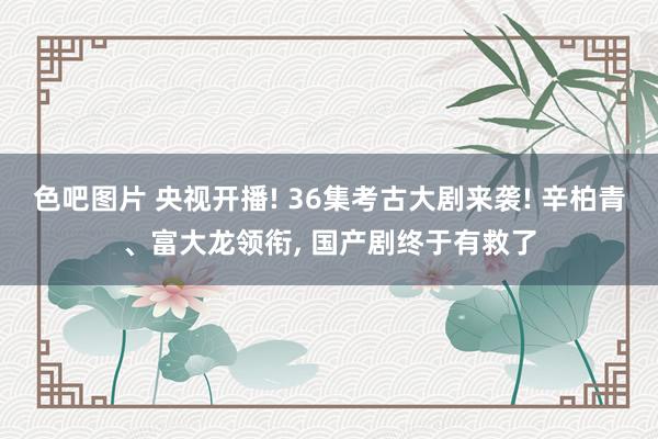 色吧图片 央视开播! 36集考古大剧来袭! 辛柏青、富大龙领衔， 国产剧终于有救了