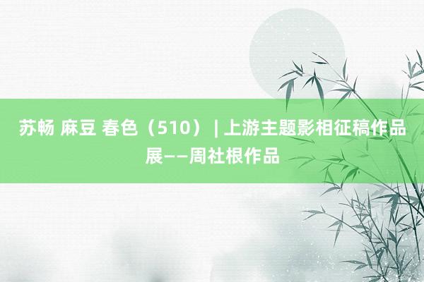苏畅 麻豆 春色（510） | 上游主题影相征稿作品展——周社根作品