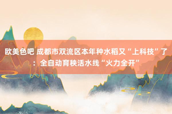 欧美色吧 成都市双流区本年种水稻又“上科技”了：全自动育秧活水线“火力全开”