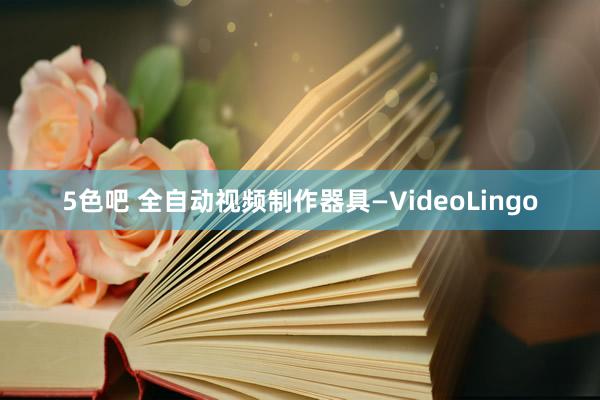 5色吧 全自动视频制作器具—VideoLingo